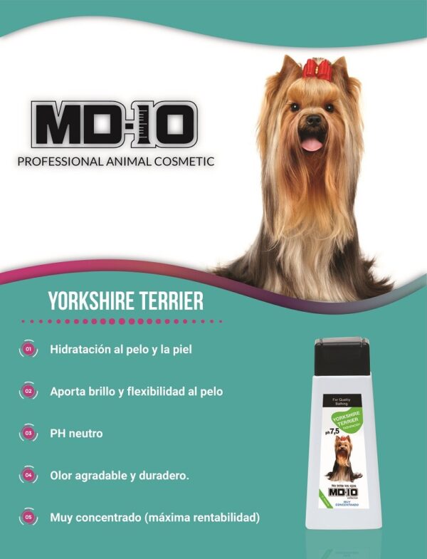 Champú Yorkshire Terrier