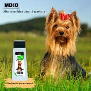 Champú Yorkshire Terrier