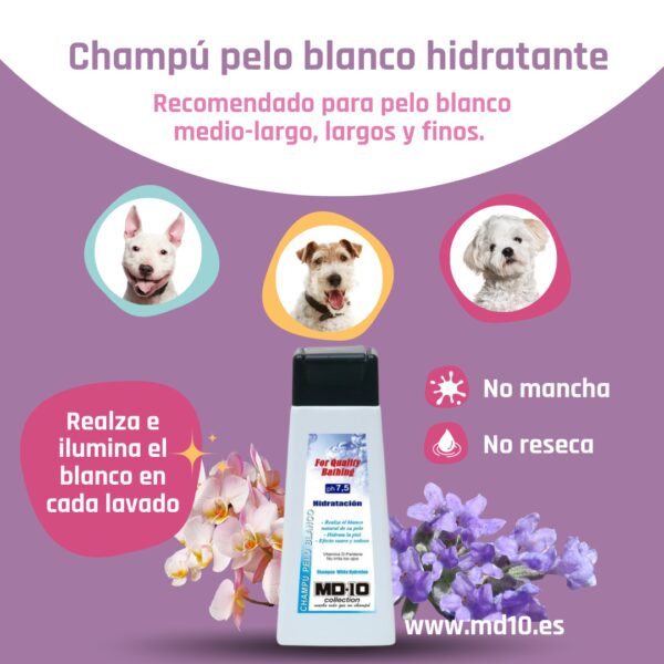 Champú Pelo Blanco Hidratación