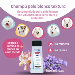 Champú Pelo Blanco Textura