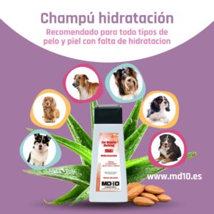 Champú Pelo Liso Hidratación