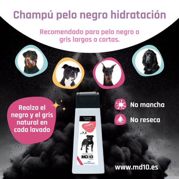 Champú Pelo Negro Hidratación