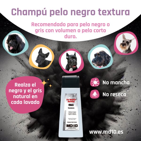 Champú Pelo Negro Textura