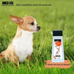 Champú Chihuahua