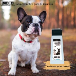 Champú Bulldog Francés