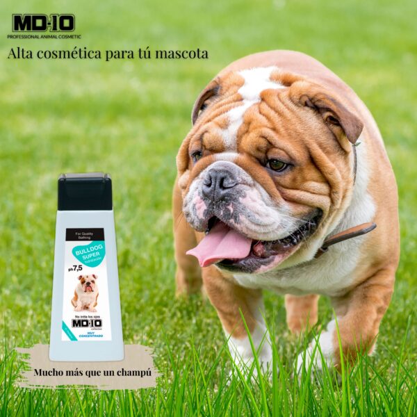 Champú Bulldog Inglés