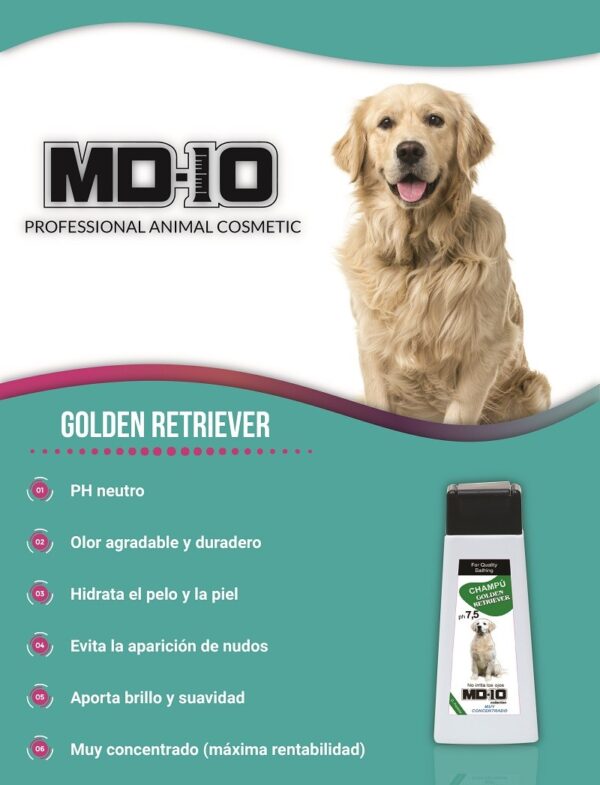 Champú Golden Retriever