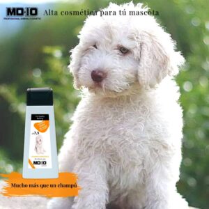 Champú Perro de Agua Español Pelo Blanco