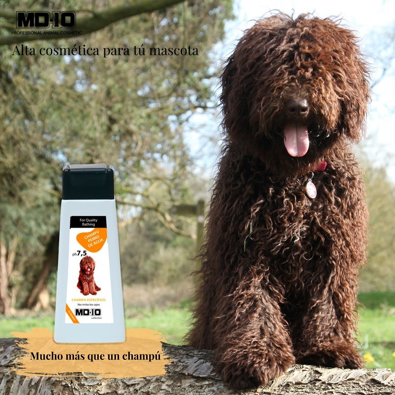 Champú Perro de Agua Español Pelo Marron