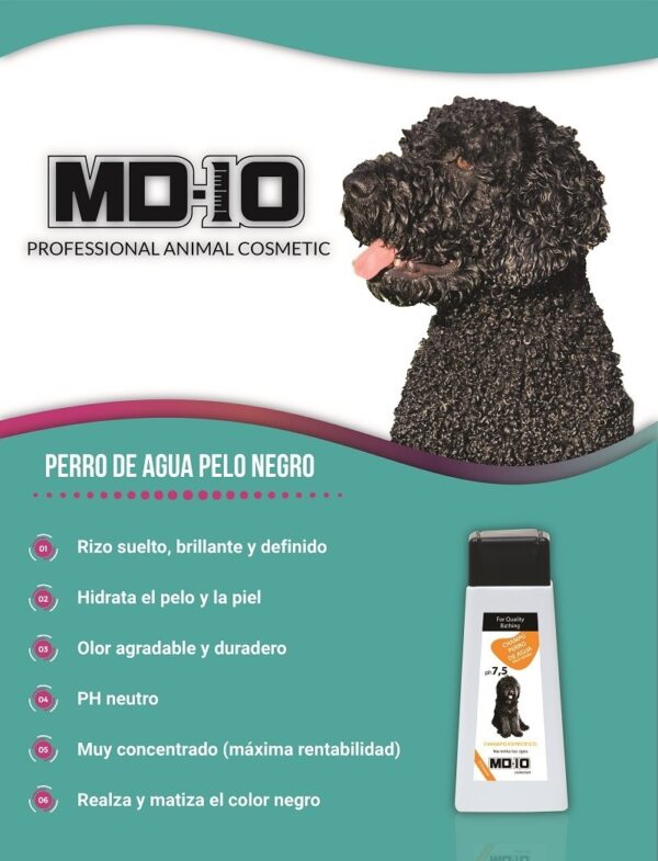 Champú Perro de Agua Español Pelo Negro