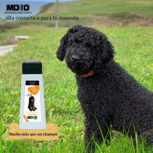 Champú Perro de Agua Español Pelo Negro