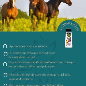 Champú Caballos Antiparasitario