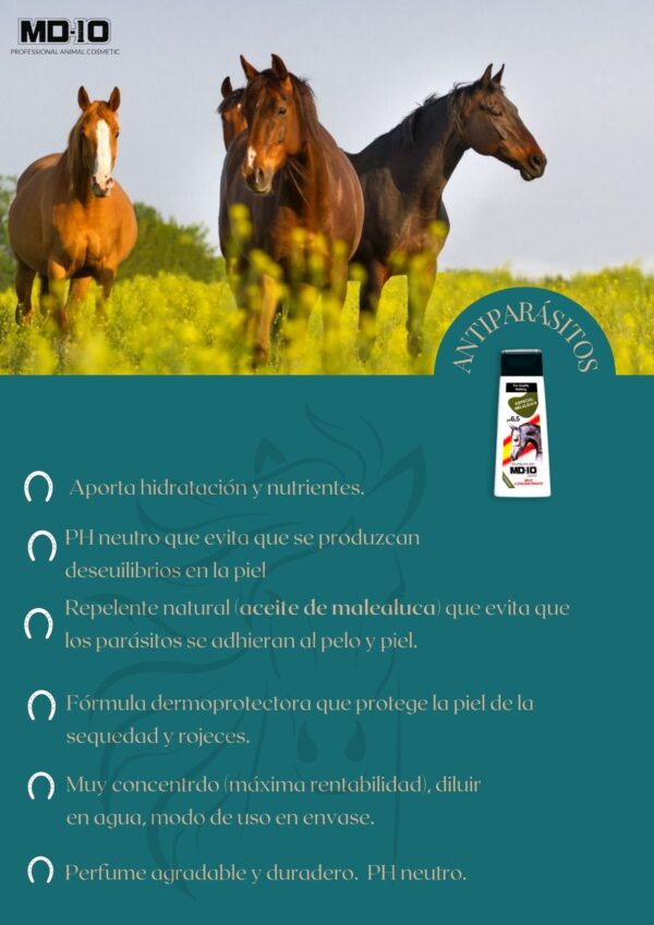 Champú Caballos Antiparasitario