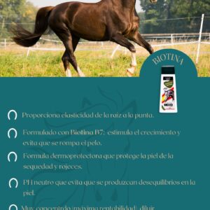 Champú para caballos con Biotina