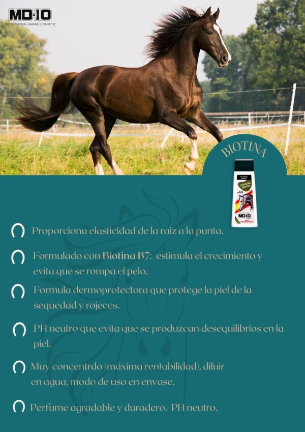 Champú para caballos con Biotina