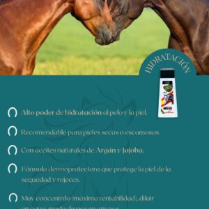 Champú caballos hidratación