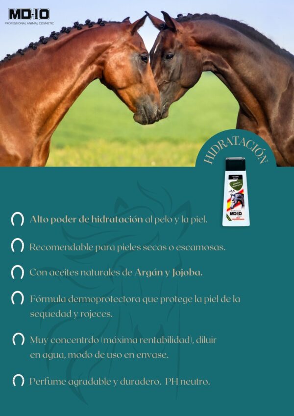 Champú caballos hidratación