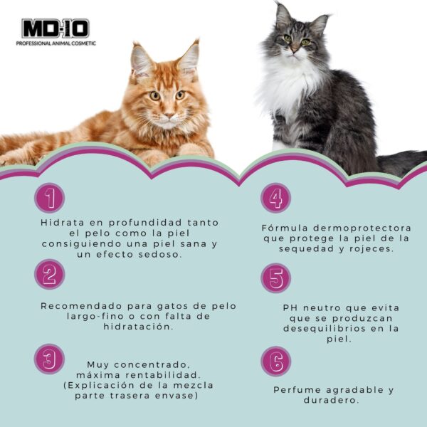 Champú Gatos Hidratación