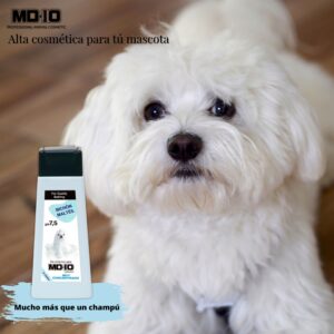 Champú Bichon Maltes